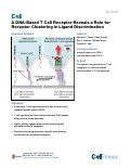 Cover page: A DNA-Based T Cell Receptor Reveals a Role for Receptor Clustering in Ligand Discrimination