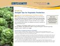 Cover page: Drought Tips for Vegetable Production