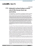 Cover page: Adenylyl cyclase 6 plays a minor role in the mouse inner ear and retina.