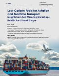 Cover page: Low-Carbon Fuels for Aviation and Maritime Transport:&nbsp;Insights from Two Mirroring Workshops Held in the US and Europe