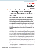 Cover page: Comparison of two different host plant genera responding to grapevine leafroll-associated virus 3 infection