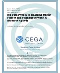 Cover page of Big Data Privacy in Emerging Market Fintech and Financial Services: A Research Agenda