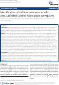 Cover page: Identification of mildew resistance in wild and cultivated Central Asian grape germplasm