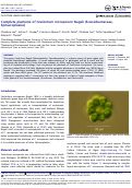Cover page: Complete plastome of Coelastrum microporum Nägeli (Scenedesmaceae, Sphaeropleales).