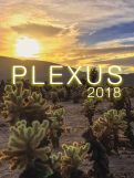 Cover page: Plexus 2018:&nbsp;<em>Synergy</em>