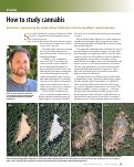 Cover page: How to study cannabis