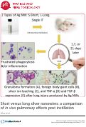 Cover page: Short versus long silver nanowires: a comparison of in vivo pulmonary effects post instillation
