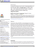 Cover page: Comprehensive structural characterization of the human AAA+ disaggregase CLPB in the apo- and substrate-bound states reveals a unique mode of action driven by oligomerization.
