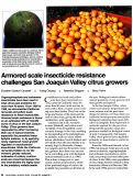 Cover page: Armored scale insecticide resistance challenges San Joaquin Valley citrus growers