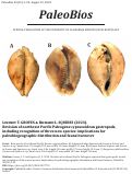 Cover page: Revision of northeast Pacific Paleogene cypraeoidean gastropods (Mollusca), including recognition of three new species: Implications for paleobiogeographic distribution and faunal turnover