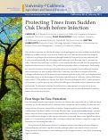 Cover page of Protecting Trees from Sudden Oak Death before Infection