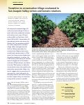 Cover page: Transition to conservation tillage evaluated in San Joaquin Valley cotton and tomato rotations