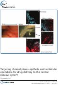 Cover page: Targeting choroid plexus epithelia and ventricular ependyma  for drug delivery to  the central nervous system