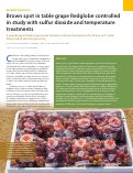 Cover page: Brown spot in table grape Redglobe controlled in study with sulfur dioxide and temperature treatments