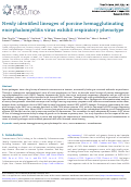 Cover page: Newly identified lineages of&nbsp;porcine hemagglutinating encephalomyelitis virus exhibit respiratory phenotype.