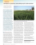 Cover page: Switchgrass is a promising, high-yielding crop for California biofuel