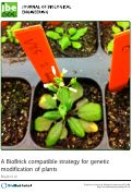 Cover page: A BioBrick compatible strategy for genetic modification of plants