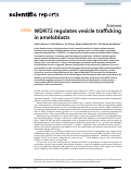 Cover page: WDR72 regulates vesicle trafficking in ameloblasts
