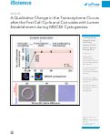 Cover page: A Qualitative Change in the Transcriptome Occurs after the First Cell Cycle and Coincides with Lumen Establishment during MDCKII Cystogenesis