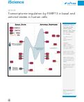 Cover page: Transcriptome regulation by PARP13 in basal and antiviral states in human cells