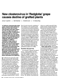 Cover page: New closterovirus in ‘Redglobe’ grape causes decline of grafted plants