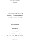 Cover page: The food web for the sand flats at Palmyra Atoll