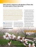 Cover page: Yield in almond is related more to the abundance of flowers than the relative number of flowers that set fruit