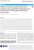 Cover page: mRNAs encoding neurodevelopmental regulators have equal N6-methyladenosine stoichiometry in Drosophila neuroblasts and neurons