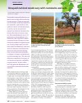 Cover page: Vineyard nutrient needs vary with rootstocks and soils