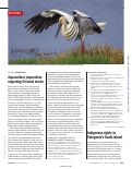 Cover page: Fisheries rely on threatened salt marshes