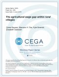 Cover page: The agricultural wage gap within rural villages&nbsp;