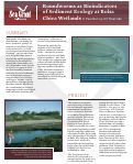 Cover page: Roundworms as Bioindicators of Sediment Ecology at Bolsa Chica Wetlands