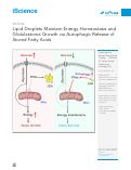 Cover page: Lipid Droplets Maintain Energy Homeostasis and Glioblastoma Growth via Autophagic Release of Stored Fatty Acids