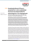Cover page: Endothelial RhoA GTPase is essential for in vitro endothelial functions but dispensable for physiological in vivo angiogenesis.