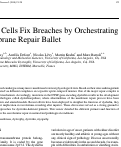 Cover page: Muscle Cells Fix Breaches by Orchestrating a Membrane Repair Ballet
