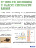 Cover page: Out For Blood: Biotechnology to Eradicate Horseshoe Crab Bleeding