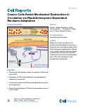 Cover page: Cancer Cells Resist Mechanical Destruction in Circulation via RhoA/Actomyosin-Dependent Mechano-Adaptation