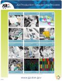 Cover page: JGI Production Sequencing Process