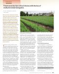 Cover page: Forest nurseries face critical choices with the loss of methyl bromide fumigation