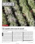 Cover page: Can Apulia's olive trees be saved?