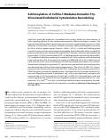 Cover page: S-Nitrosylation of Cofilin-1 Mediates Estradiol-17β-Stimulated Endothelial Cytoskeleton Remodeling