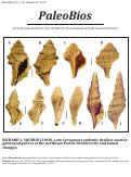 Cover page: Late Cretaceous endemic shallow-marine gastropod genera of the  northeast Pacific: biodiversity and faunal changes