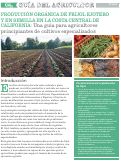 Cover page of Producción orgánica de frijol ejotero y en semilla en la Costa Central de California:&nbsp;Una guía para agricultores principiantes de cultivos especializados