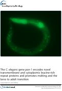 Cover page: The C. elegans gene pan-1 encodes novel transmembrane and cytoplasmic leucine-rich repeat proteins and promotes molting and the larva to adult transition