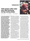 Cover page: Table grapes suffer water loss, stem browning during cooling delays