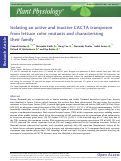 Cover page: Isolating an active and inactive CACTA transposon from lettuce color mutants and characterizing their family