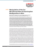 Cover page: Manipulation of the Gut Microbiome Alters Acetaminophen Biodisposition in Mice