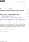 Cover page: Regularization of the light-cone gauge gluon propagator singularities using sub-gauge conditions