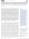 Cover page of Species-resolved, single-cell respiration rates reveal dominance of sulfate reduction in a deep continental subsurface ecosystem.