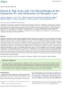 Cover page: Knock-in rat lines with Cre recombinase at the dopamine D1 and adenosine 2a receptor loci